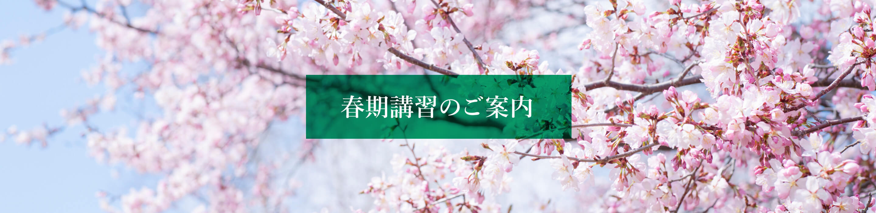 授業のご案内 春期講習